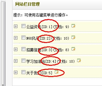 網站欄目管理